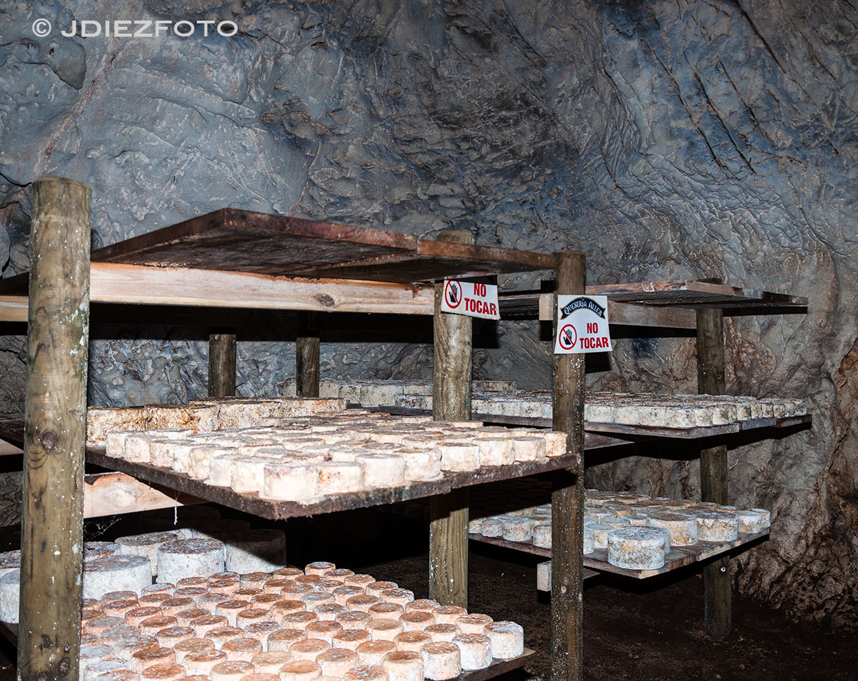 Curado del Queso de Bejes en la Sotorraña